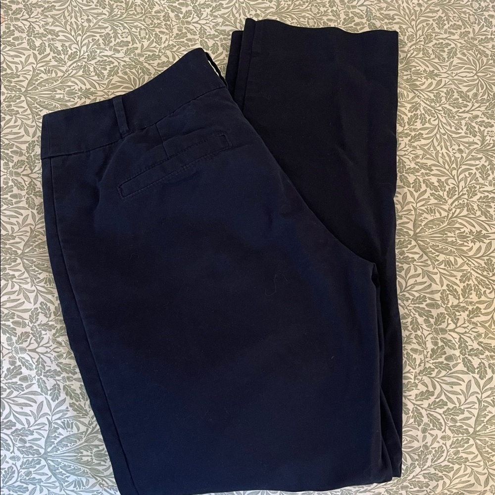 Cartonnier Anthropologie Navy Slim Ankle Pants Size 6